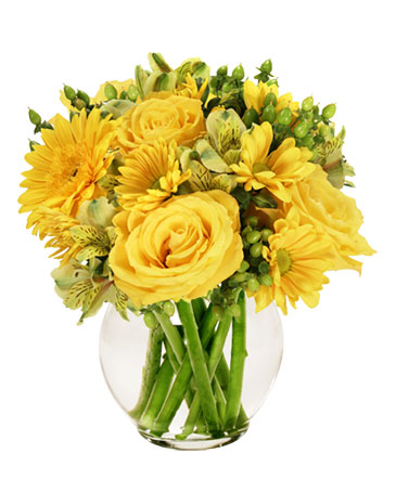 Sunshine Perfection Floral Arrangement in Klamath Falls, OR | ROSES ARE RED