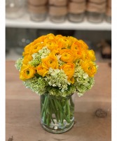 Sunshine  Ranunculus yellow 