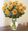 Sunshine Roses