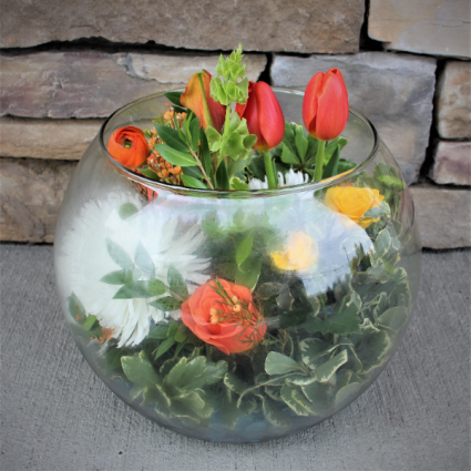 Coveted Cove Landscape Arrangement