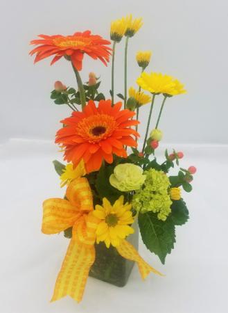 Sunshine & Smiles in Presque Isle, ME | COOK FLORIST, INC. Sunshine & Smiles in Presque Isle, ME | COOK FLORIST, INC.