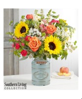 Sunshine Splendor By Southern Living 