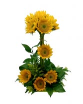 Sunshine Sunflower Arrangement