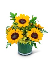 Sunshine Sunflowers Flower Arrangement in Wiggins, Mississippi | FLEURISH