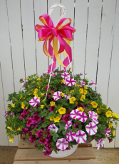 Strawberry Lemonade Hanging Basket