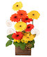 Sunup Gerberas Flower Arrangement