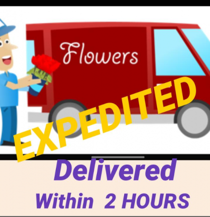 EXPRESS DELIVERY- $25