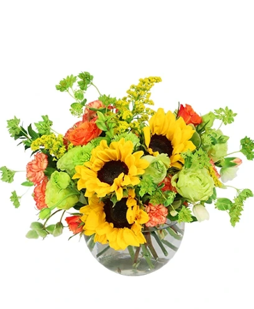 Supreme Sunflowers  Floral Arrangenment in Goshen, IN | Wooden Wagon Floral Shoppe Inc.