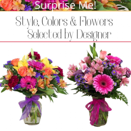 Surprise-Designer’s Choice