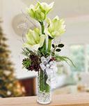 Sweet Amaryllis Vased Bouquet
