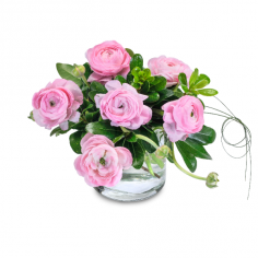 Category Image