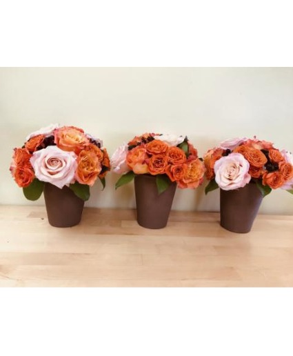 Sweet and Spicy Rose Trio Arrangement