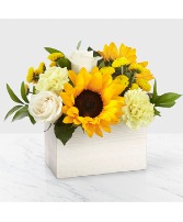 Sweet As Lemonade 20-S6 Arrangement
