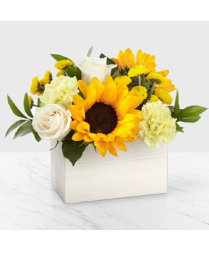 Sweet As Lemonade 20-S6 Arrangement