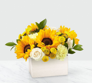 Sweet As Lemonade in Las Vegas, NV | Blooming Memory Sweet As Lemonade in Las Vegas, NV | Blooming Memory