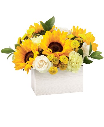 Sweet as Lemonade Arrangement in Winnipeg, MB | CHARLESWOOD FLORISTS Sweet as Lemonade Arrangement in Winnipeg, MB | CHARLESWOOD FLORISTS