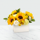 Sweet as Lemonade Sunflower Bouquet