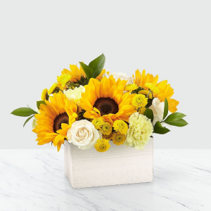 Sweet as Lemonade Sunflower Bouquet MD