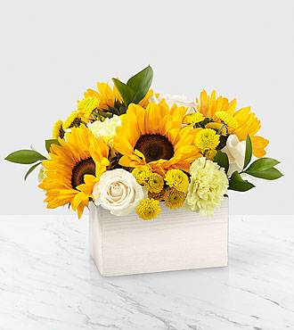 Sweet as Lemonade Sunflower Spring