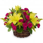 Sweet as Summer Arrangement