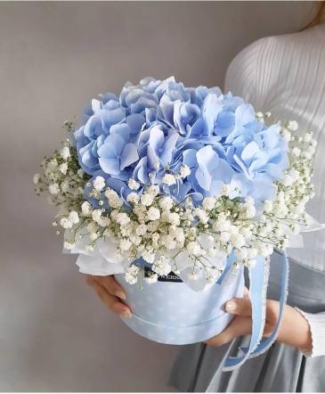Sweet Baby Boy in Vacaville, CA | Vior Floral Art Sweet Baby Boy in Vacaville, CA | Vior Floral Art