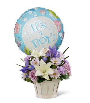 Sweet Baby Boy Blooms 