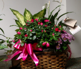 Sweet Basket 