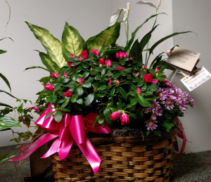 Sweet Basket 
