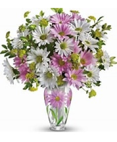 Category Image