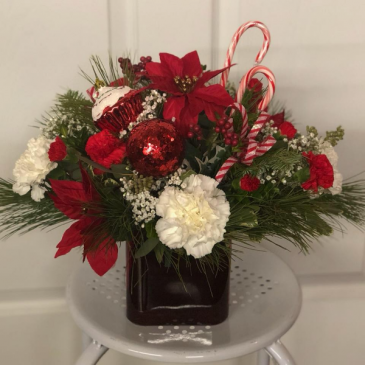 Sweet Candy Cane Surprise  in Jermyn, PA | Debbie's Flower Boutique