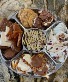 Sweet Candy Tray 