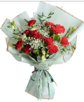 Sweet carnation bouquet Hand tied bouquet