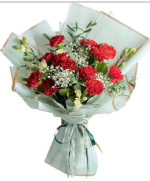 Sweet carnation bouquet Hand tied bouquet