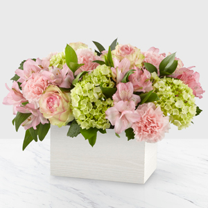 SWEET CHARM SPRING