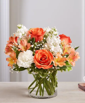 Sweet Citrus Fresh Flowers
