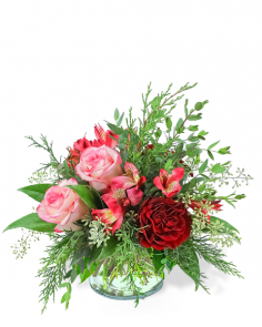 Category Image