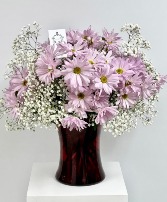 Sweet Daisy Love 