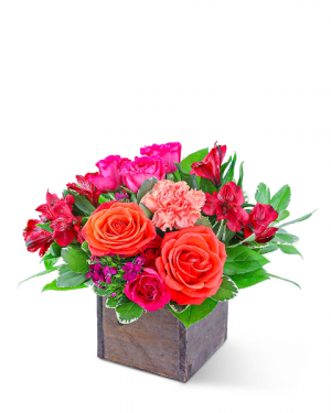 Sweet Flora Flower Arrangement in Nevada, IA | Flower Bed Sweet Flora Flower Arrangement in Nevada, IA | Flower Bed