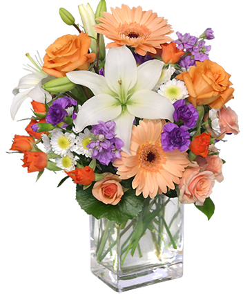 SWEET GEORGIA PEACH Flower Arrangement in Albany, NY | Ambiance Florals & Events