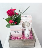 Sweet Grace Home Fragrance Bundle 