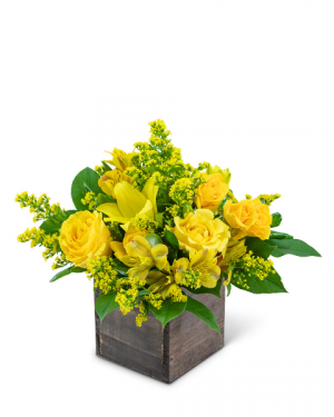 Sweet Honey Flower Arrangement in Nevada, IA | Flower Bed Sweet Honey Flower Arrangement in Nevada, IA | Flower Bed
