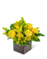 Purchase this funeral home arrangement
