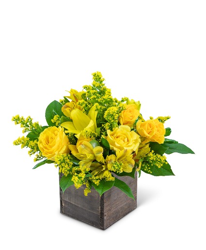 Sweet Honey Flower Arrangement