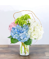 Sweet Hydrangea All Around