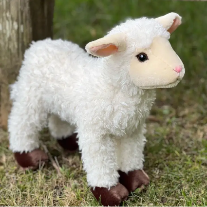 Sweet Lamb Gift