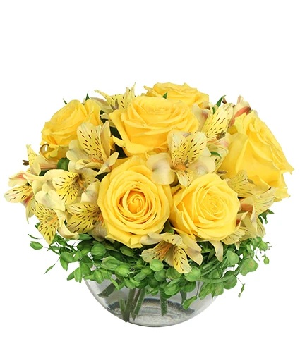 Sweet Lemon Roses Rose Arrangement in Lincoln, AL - TWO FRIENDS FLORIST