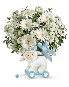 Sweet Little Baby Lamb-Blue
