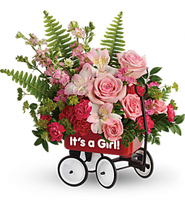 Sweet Little Girl Wagon  in Fort Collins, CO | D'ee Angelic Rose Florist