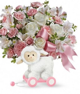 Sweet Little Lamb Pink in Wickliffe, OH | WICKLIFFE FLOWER BARN