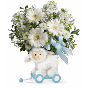 Sweet Little Lamb - Baby Blue in Vancouver, BC | ARIA FLORIST Sweet Little Lamb - Baby Blue in Vancouver, BC | ARIA FLORIST